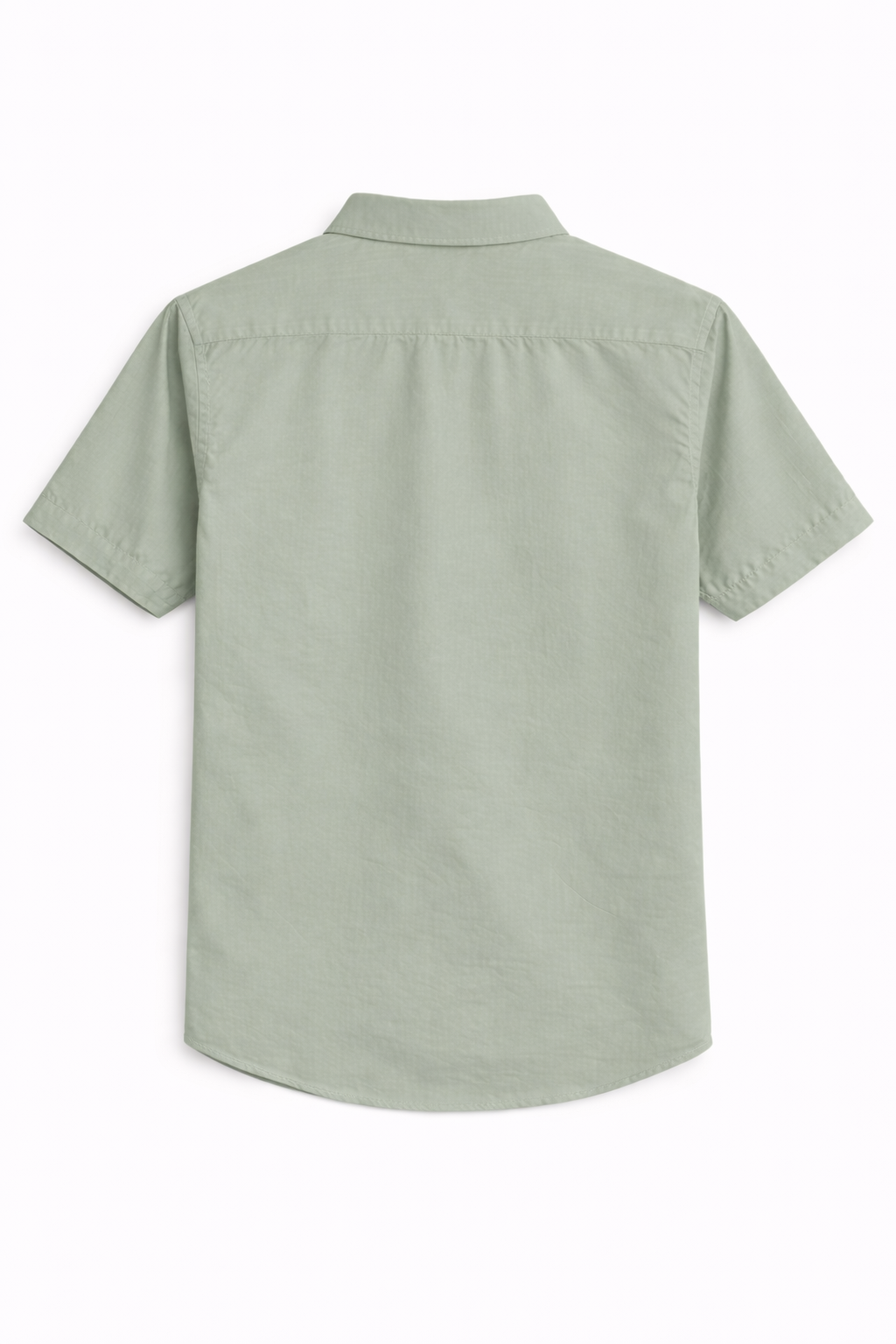 Men's Premium Embroidered Short Sleeve Shirt - Party Animal Design (Sage Green)